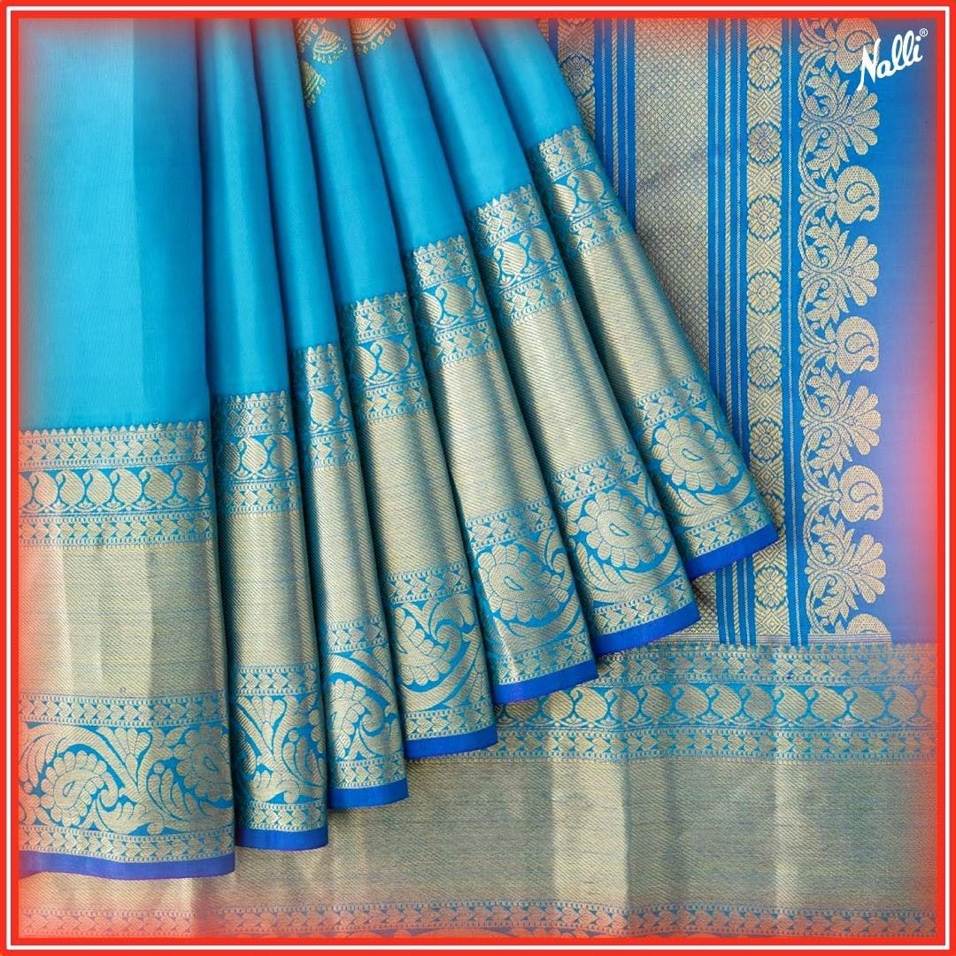 Gorgeous Nalli Sarees Designs You Can Try In 2019-cokhiquangminh.vn