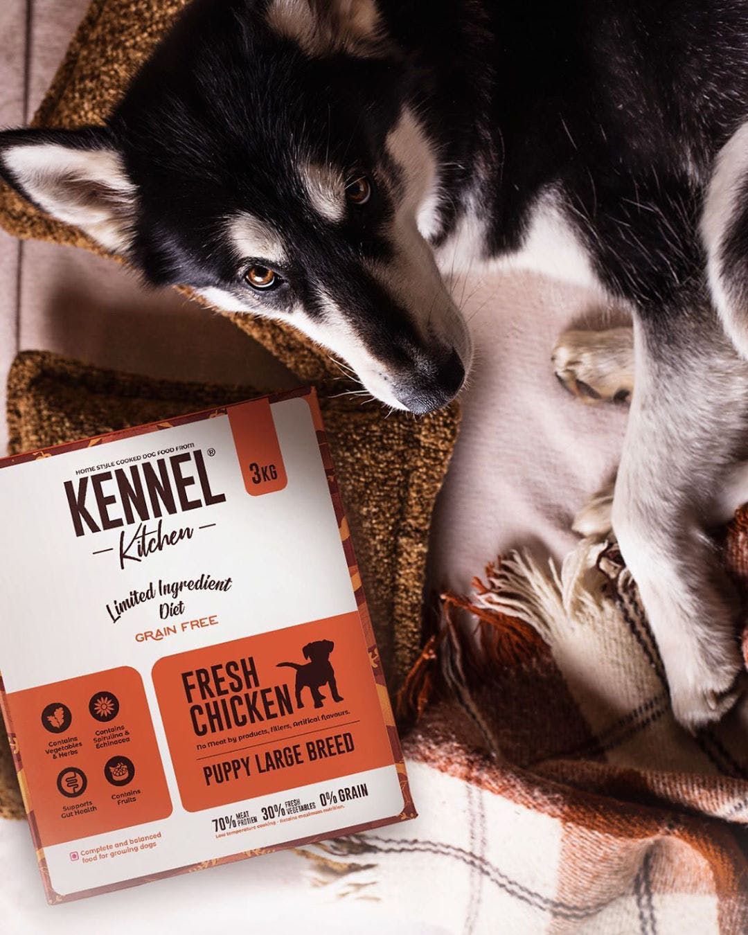 Buy Pet Food Online From Kennel Kitchen Lbb