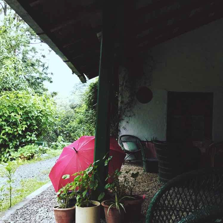 Property,Pink,Flower,House,Plant,Backyard,Leaf,Home,Room,Yard