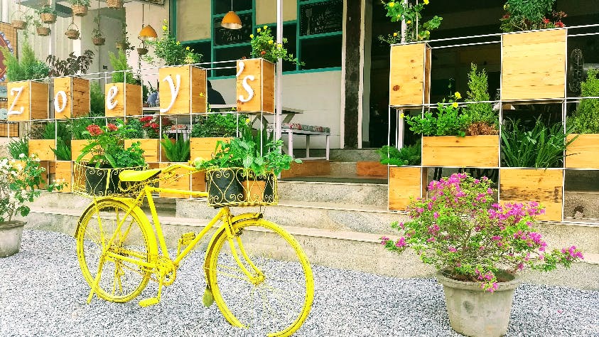 Flowerpot,Yellow,Flower,Floristry,Plant,Garden,Bicycle accessory,Cut flowers,Bicycle,Grass
