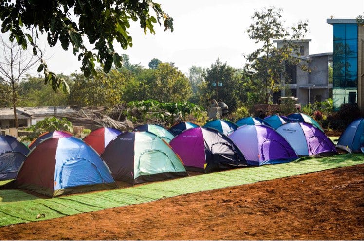 Community,Camping,Tent,Tree,Leisure,Rural area,Adaptation,Recreation,Style
