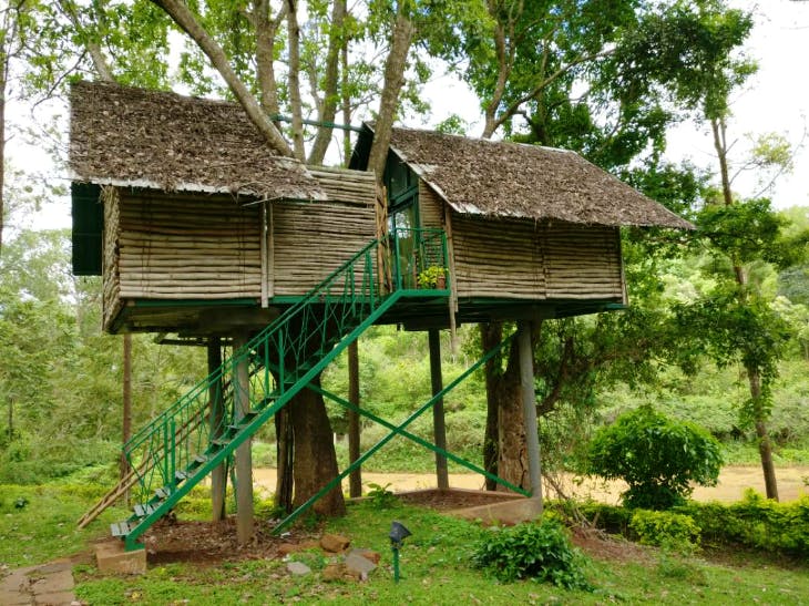 House,Shack,Building,Tree house,Tree,Cottage,Rural area,Hut,Roof,Jungle