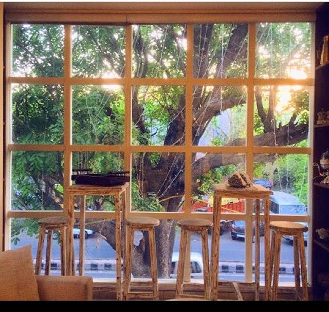 Window,Room,Tree,Home,Table,Furniture,House,Building,Interior design,Wood