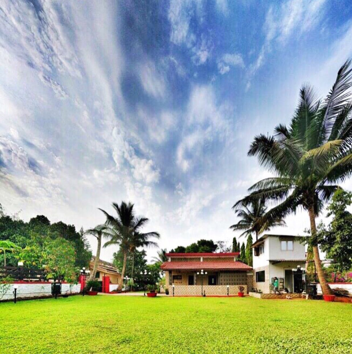 Sky,Cloud,Tree,Palm tree,Property,Grass,Daytime,House,Natural environment,Architecture