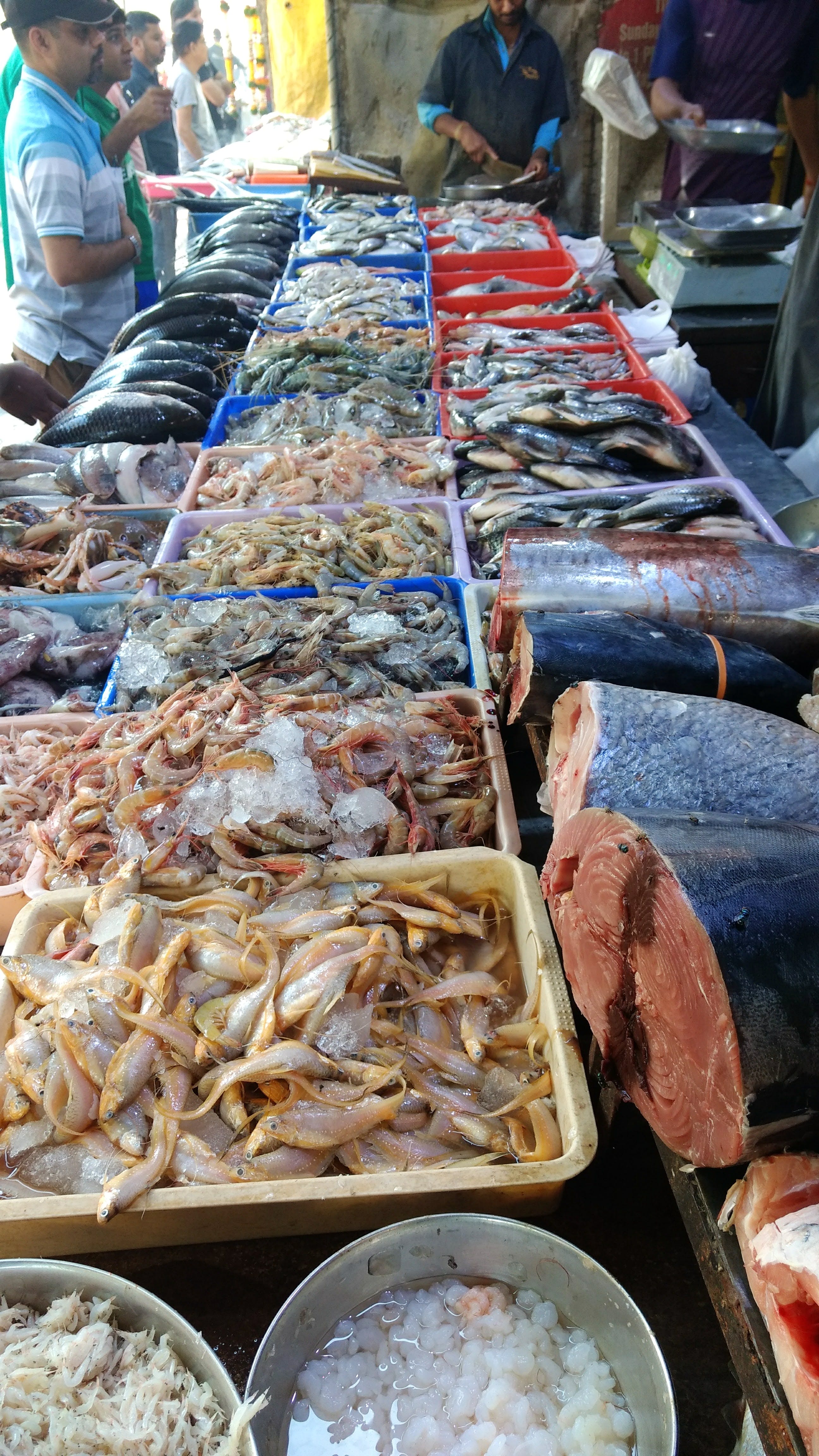 Seafood,Fish products,Fish,Food,Salted fish,Stockfish,Cuisine,Delicacy,Dish,Market