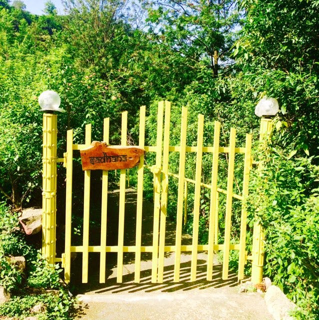 Product,Gate,Fence,Home fencing,Shrub,Plant,Nonbuilding structure,Outdoor structure,Picket fence,Landscaping