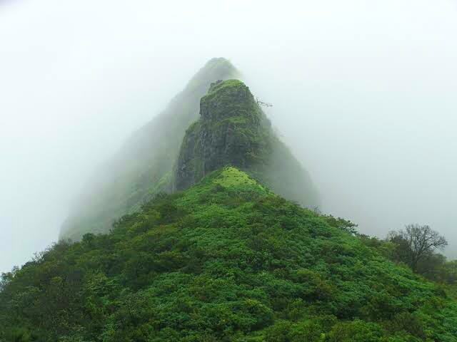 Hill station,Atmospheric phenomenon,Vegetation,Highland,Mist,Hill,Mountain,Drizzle,Fog,Tree