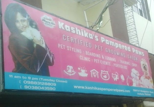 Kashika's Pampered Paws In Kasba Is Where You Need To Keep Your Pets While You're Away