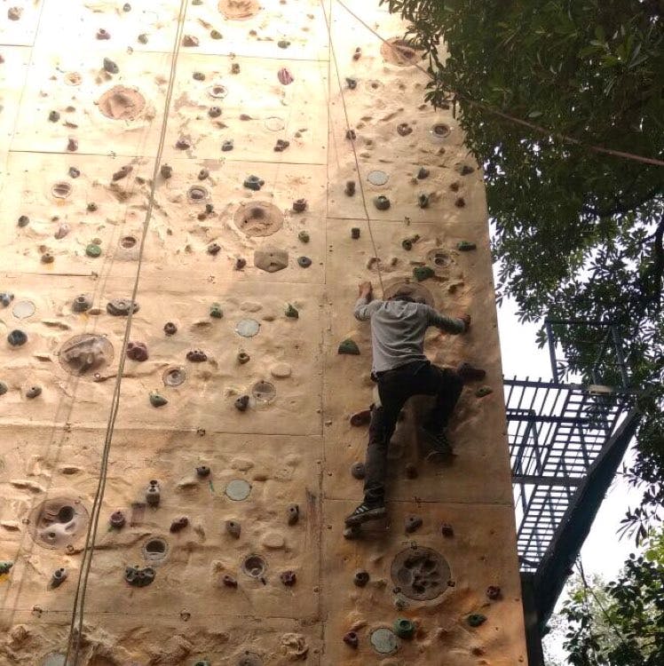 Climbing,Sport climbing,Adventure,Tree,Rock climbing,Bouldering,Recreation,Free climbing,Abseiling,Plant