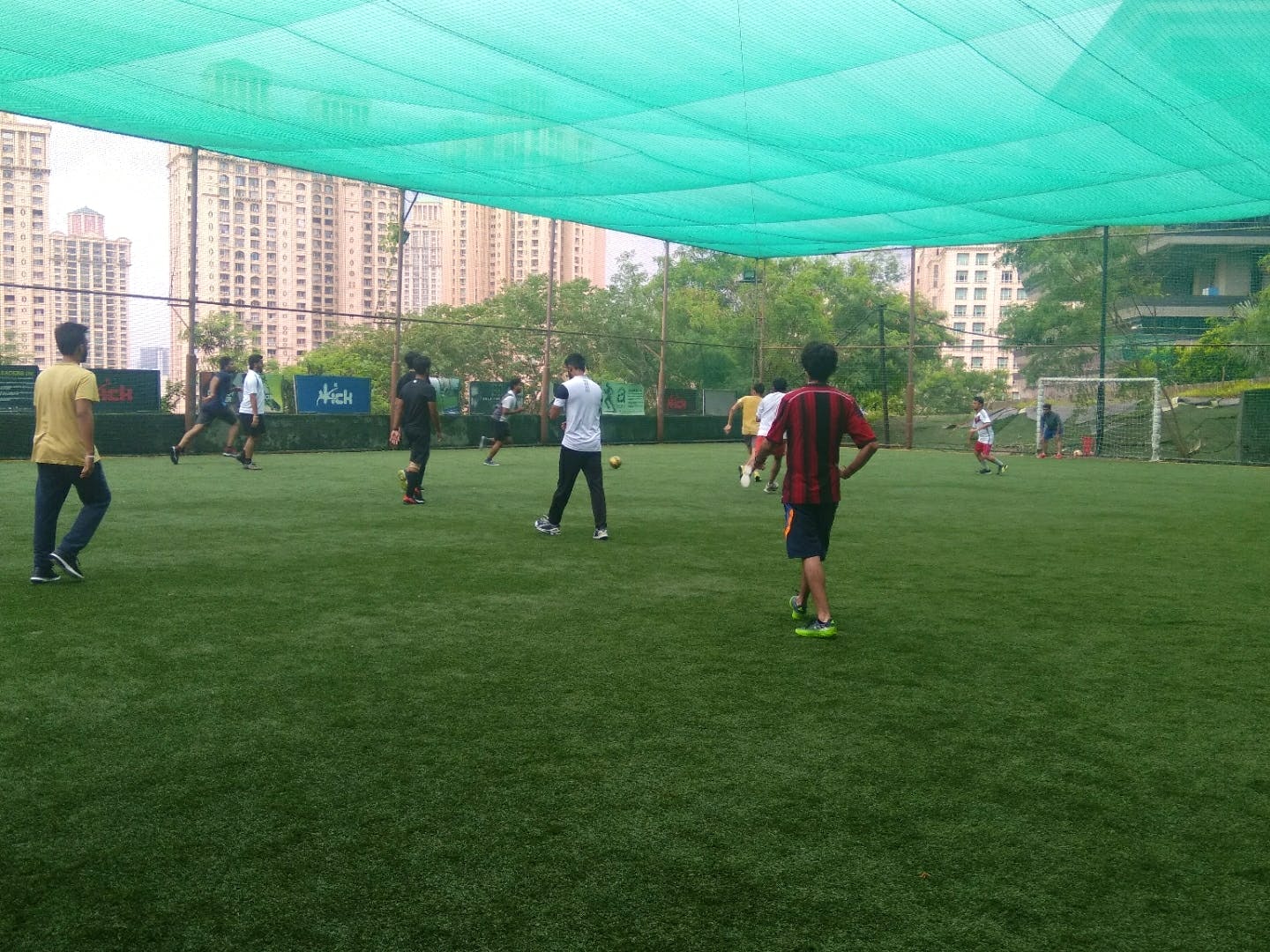 Soccer,Team sport,Sports,Grass,Ball game,Football,Football player,Sport venue,Player,Soccer-specific stadium