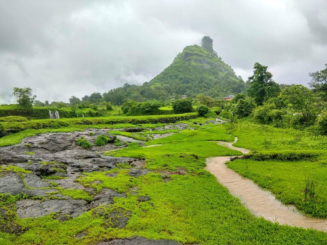 Highland,Nature,Green,Natural landscape,Vegetation,Hill station,Nature reserve,Mountain,Sky,Wilderness