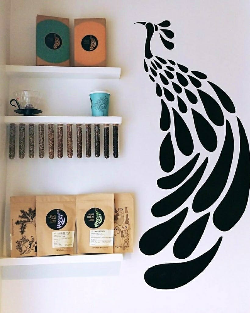 Feather,Wall,Room,Shelf,Furniture,Interior design,Eyelash,Sticker