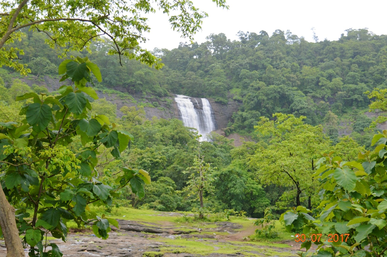 Waterfall,Vegetation,Nature reserve,Nature,Natural landscape,Water resources,Jungle,Water,Hill station,Natural environment