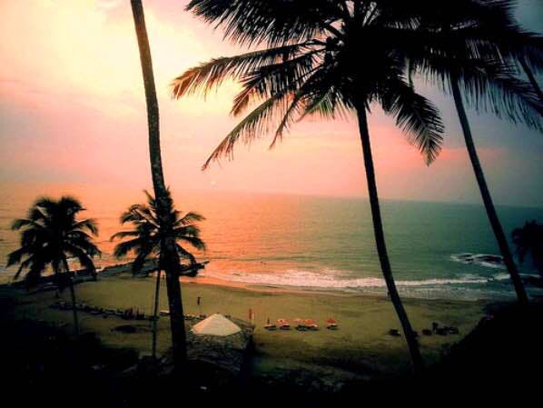 Sky,Tree,Tropics,Palm tree,Horizon,Sunset,Arecales,Vacation,Beach,Sea