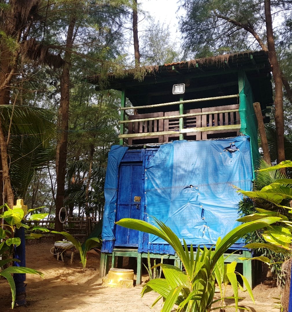 Blue,Majorelle blue,House,Tree,Jungle,Adaptation,Architecture,Leisure,Home,Plant