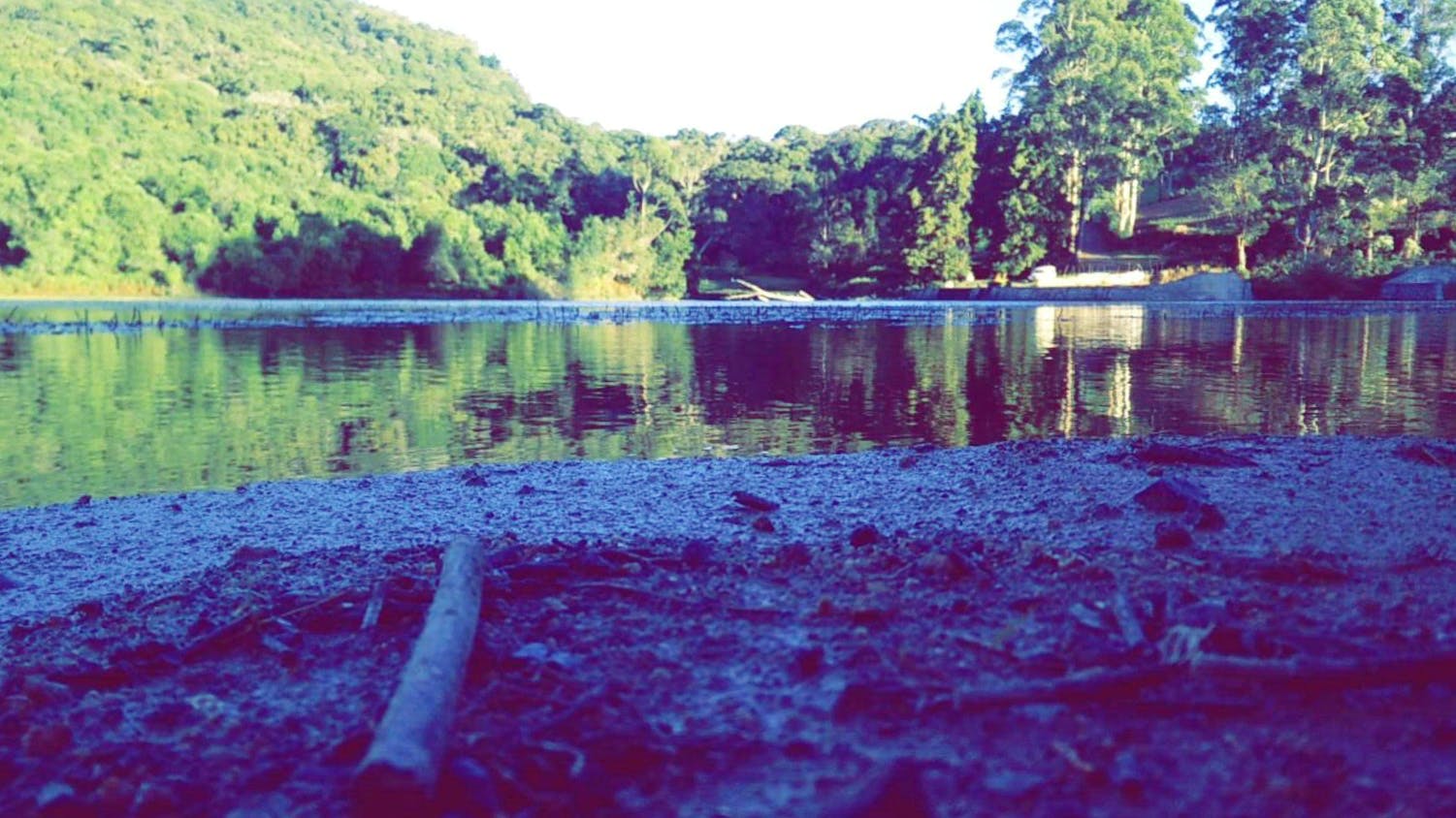 Body of water,Water,Nature,Natural landscape,Reflection,Water resources,Lake,Vegetation,Sky,Wilderness