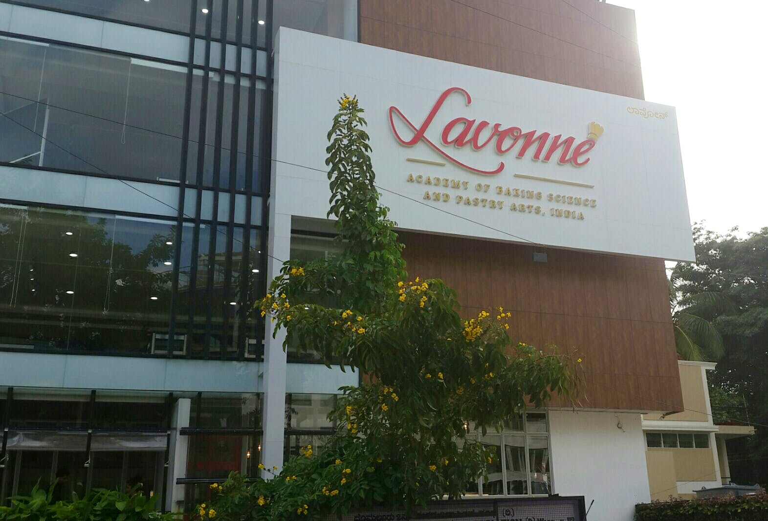 Lavonne - The ultimate cake shop