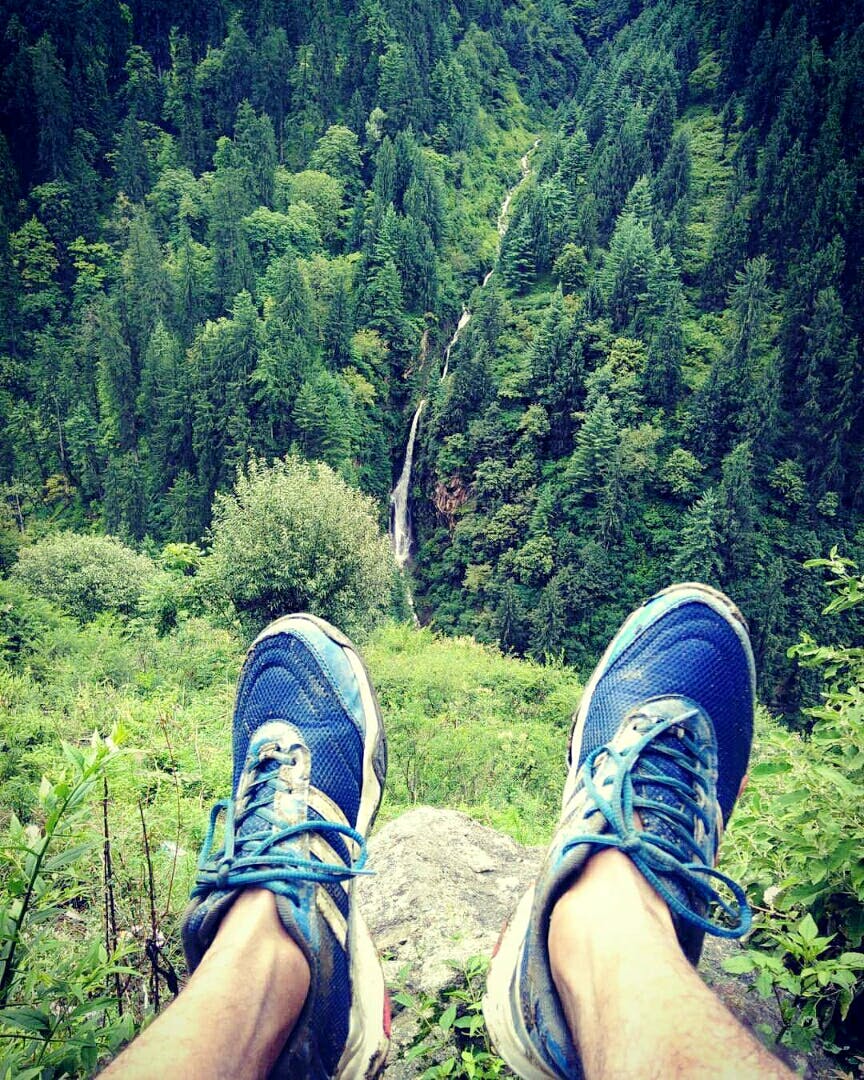 People in nature,Footwear,Green,Grass,Wilderness,Shoe,Natural environment,Tree,Forest,Jungle