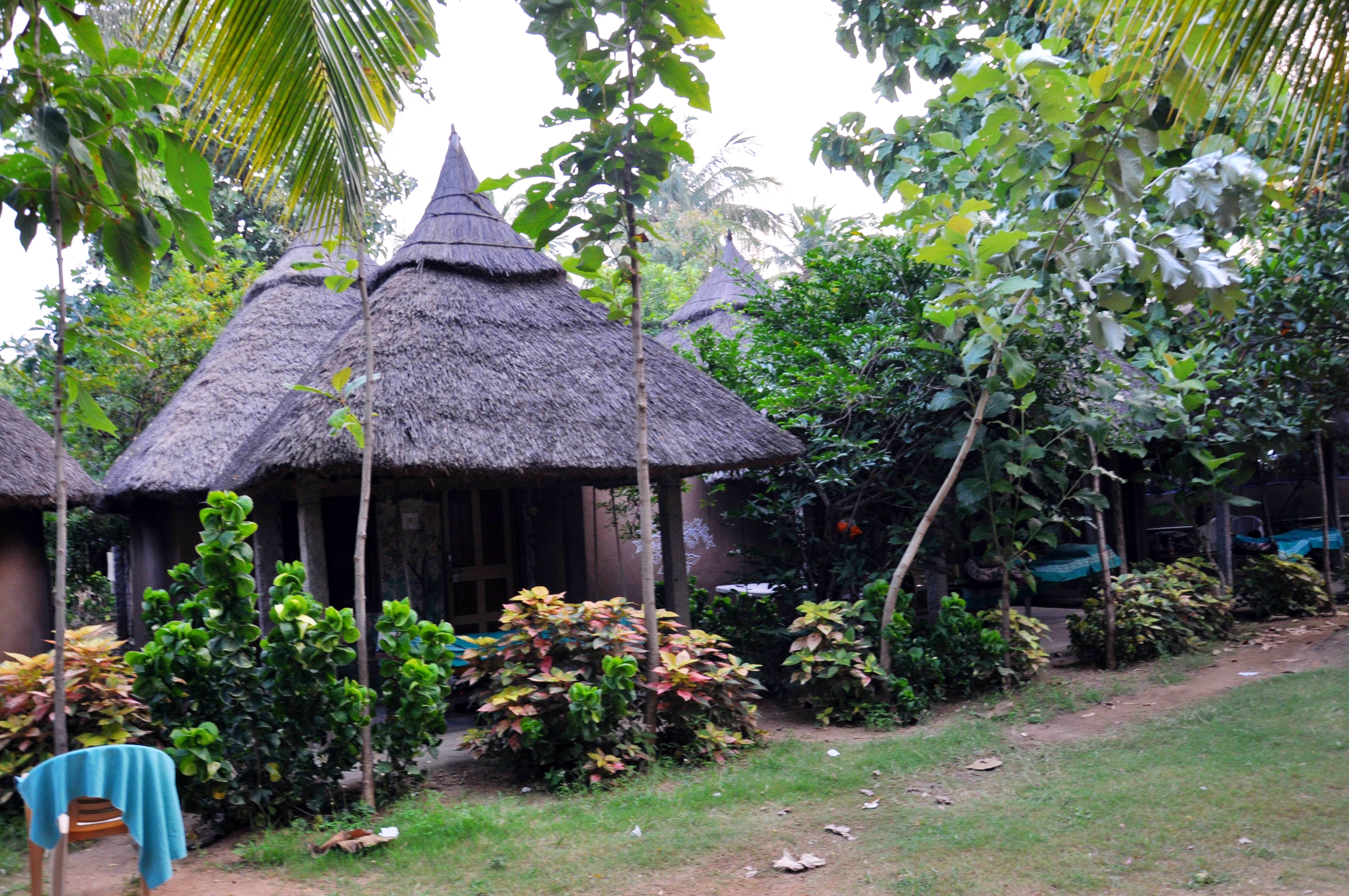 Hut,Thatching,Cottage,Property,Roof,Jungle,House,Building,Shack,Rainforest