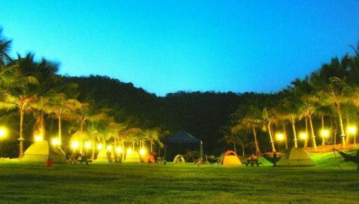 Nature,Lighting,Night,Tree,Sky,Grass,Landscape,Resort,Palm tree,Leisure