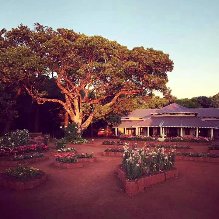 Tree,Sky,Home,House,Plant,Tints and shades,Landscape,Building