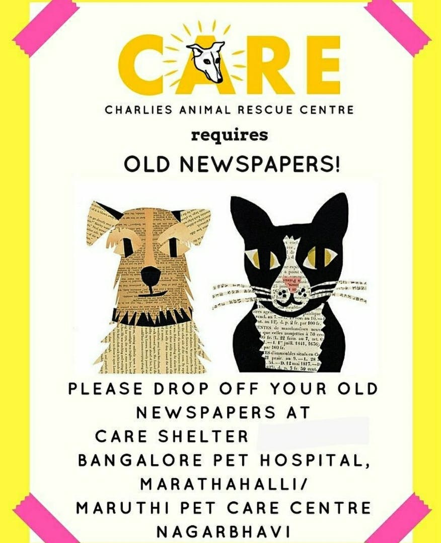 CARE Pet Adoption Camp | Little Black Book, Bangalore