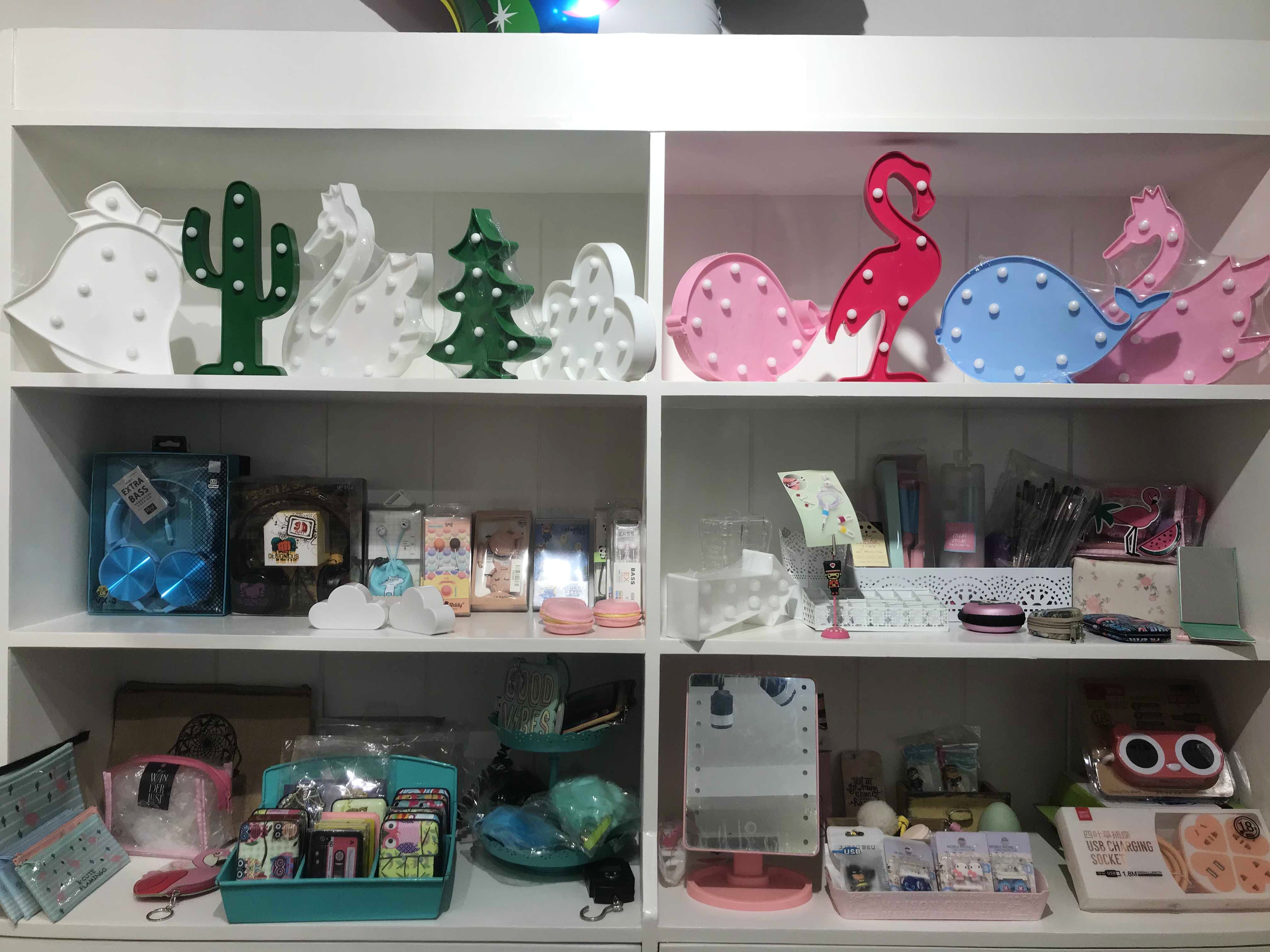 Shelf,Shelving,Toy,Collection,Furniture,Display case,Room,Plastic,Interior design