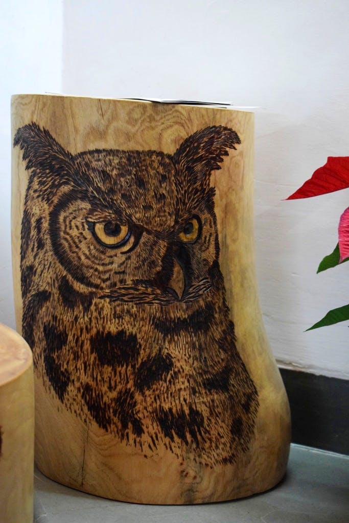 Owl,Eastern Screech owl,Tree,Bird of prey,Art,Illustration,Wood,Drawing