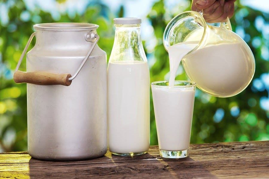 Milk,Drink,Raw milk,Food,Vegetable juice,Dairy,Grain milk,Buttermilk,Almond milk,Rice milk