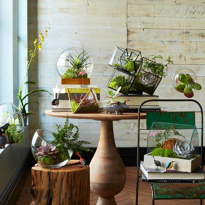 Flowerpot,Shelf,Houseplant,Shelving,Room,Interior design,Plant,Table,Furniture,Flower