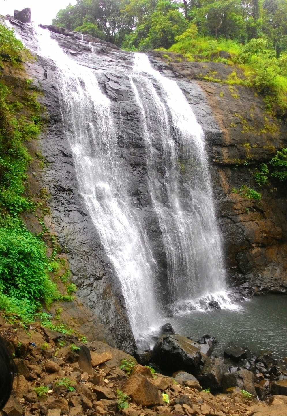 Waterfall,Water resources,Body of water,Natural landscape,Water,Nature,Watercourse,Nature reserve,Vegetation,Chute