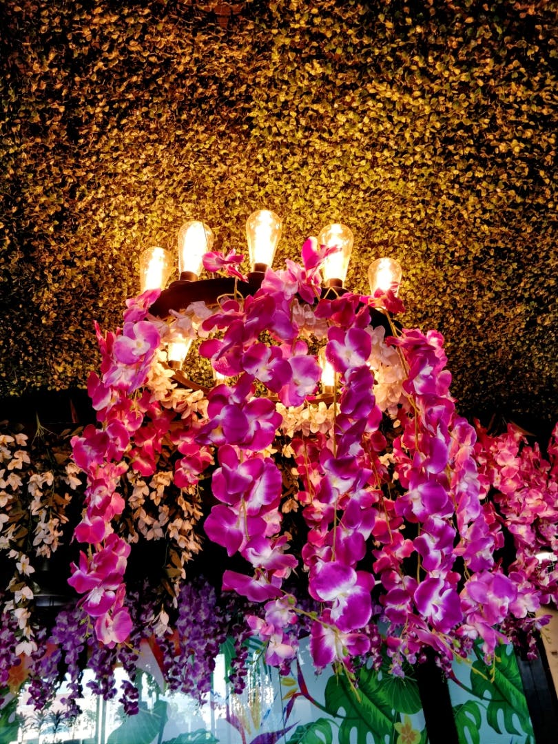 Flower,Lighting,Floral design,Plant,Flower Arranging,Floristry,Purple,Petal,Flowering plant,Orchid