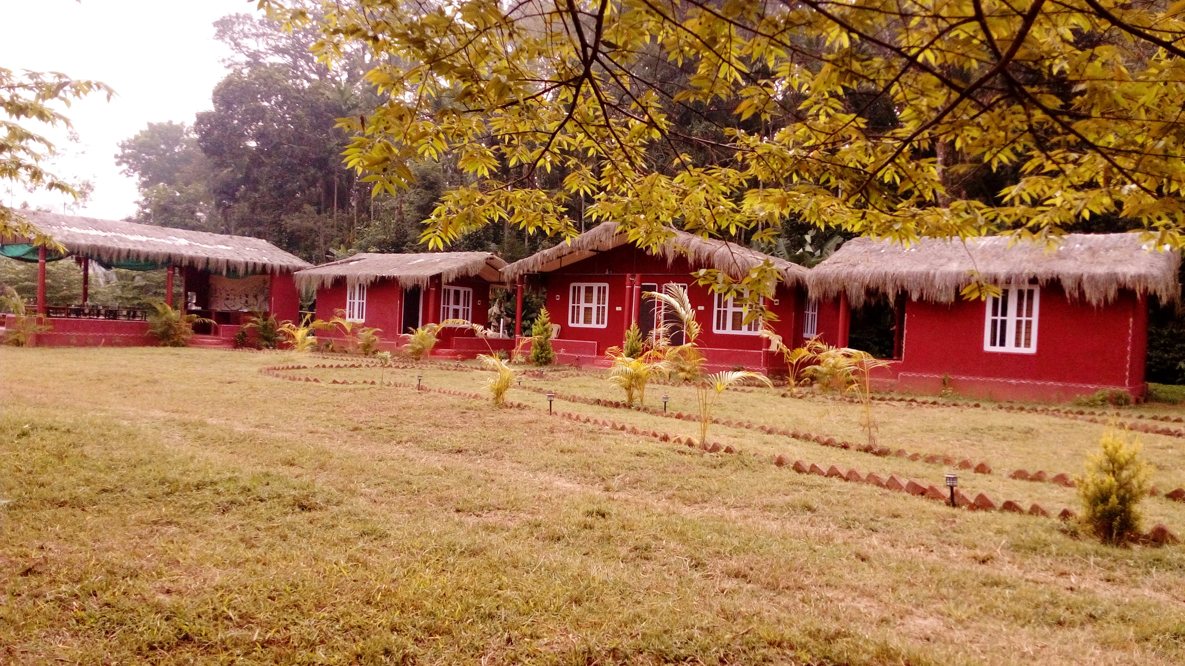 Home,House,Property,Leaf,Rural area,Cottage,Tree,Grass,Landscape,Building