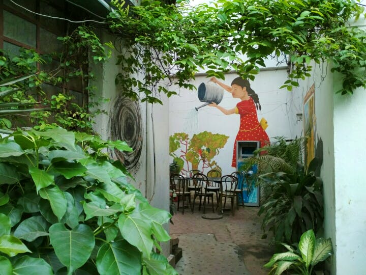 Botany,Jungle,Courtyard,Plant,Backyard,Garden,Flower,Yard,House
