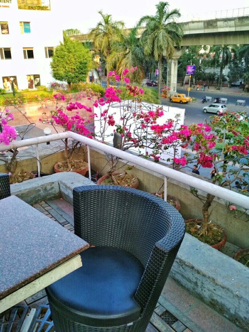 Pink,Furniture,Flower,Plant,Patio,Chair,Flowerpot,Building,Garden,Balcony