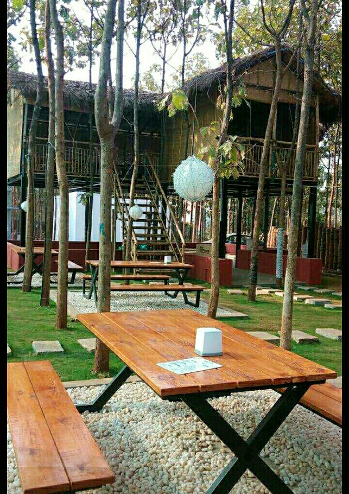 Table,Furniture,Tree,Room,House,Wood,Pavilion,Plant,Outdoor table,Leisure
