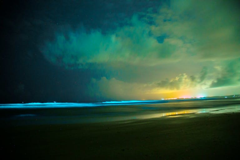 Beach Please! Check Out This Goan Beach That Legit Glows In The Dark # ...