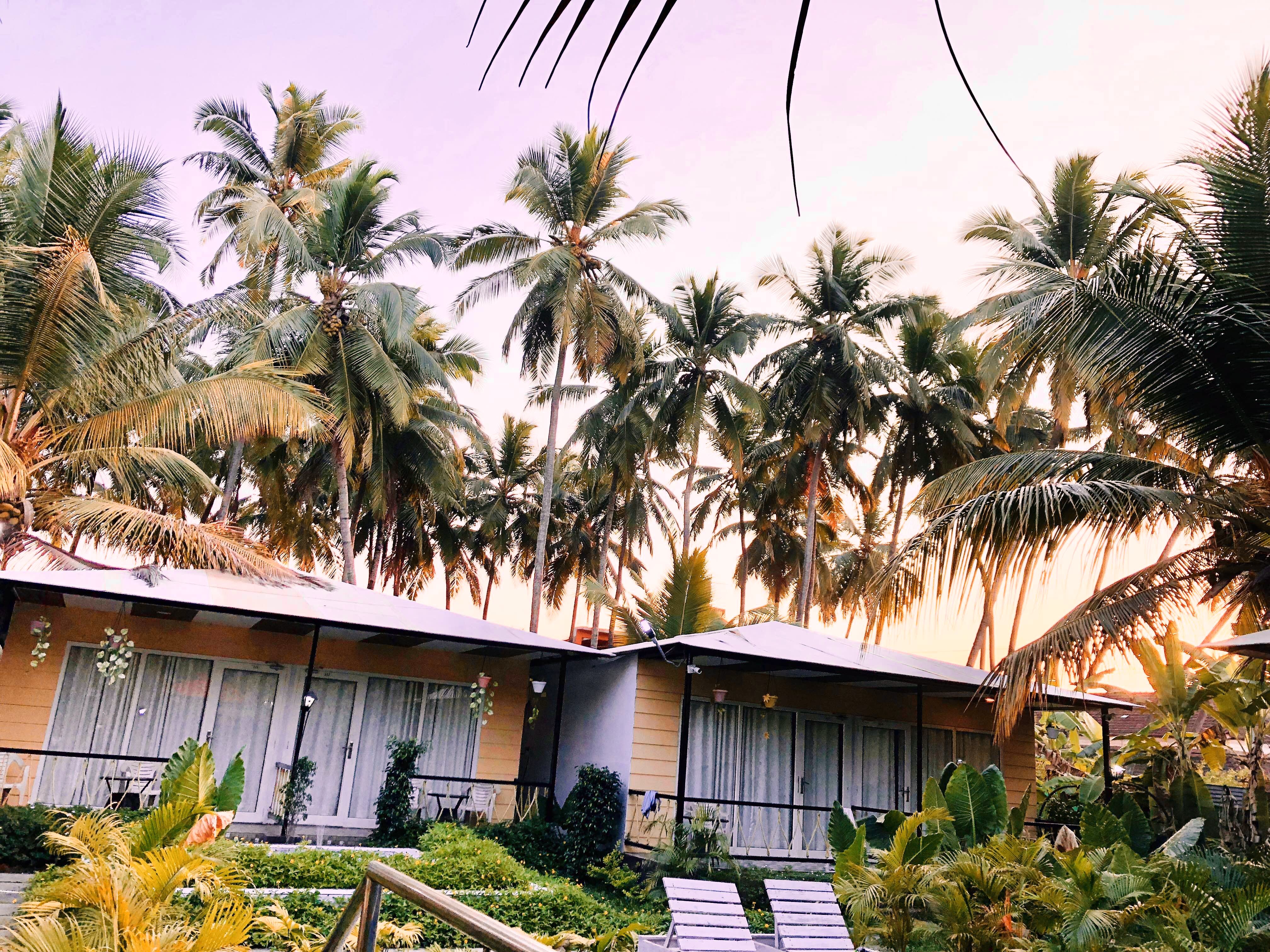 Tree,Palm tree,Sky,House,Arecales,Building,Architecture,Real estate,Vacation,Woody plant