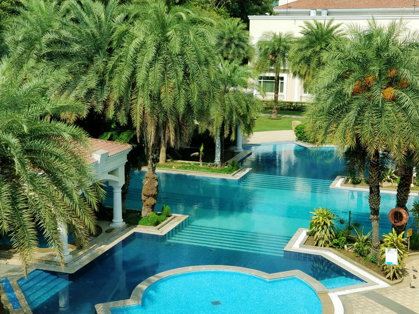 Swimming pool,Property,Resort,Palm tree,Building,Tree,Real estate,Arecales,Hotel,Leisure