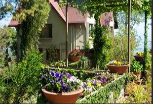 Garden,Property,Yard,House,Home,Cottage,Real estate,Flower,Plant,Backyard