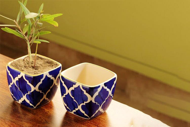 Flowerpot,Houseplant,Cobalt blue,Ceramic,Porcelain,Plant,Vase,Flower,Table,Blue and white porcelain