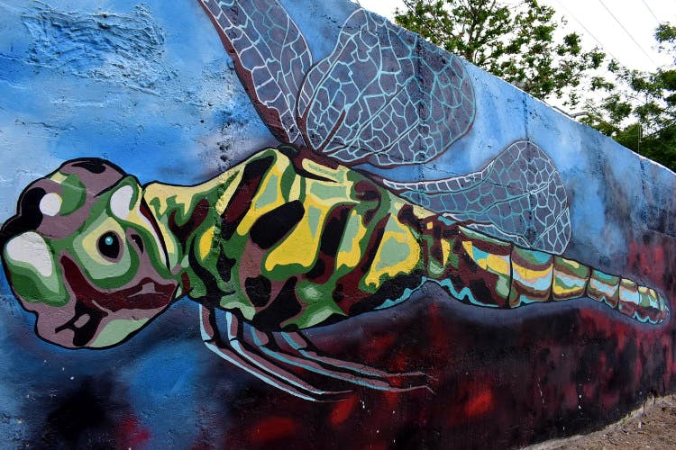Street art,Art,Graffiti,Fish,Mural,Organism,Painting,Fish,Visual arts