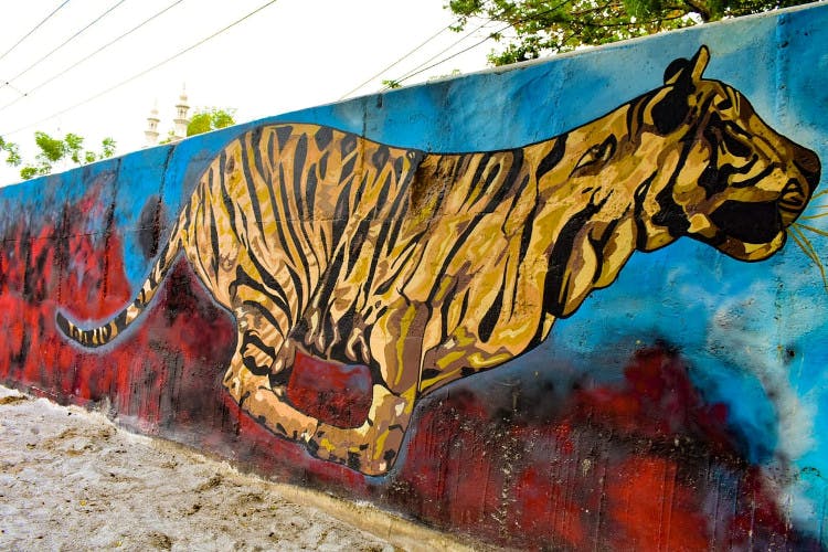 Wall,Street art,Mural,Bengal tiger,Art,Felidae,Graffiti,Wildlife,Tiger,Visual arts