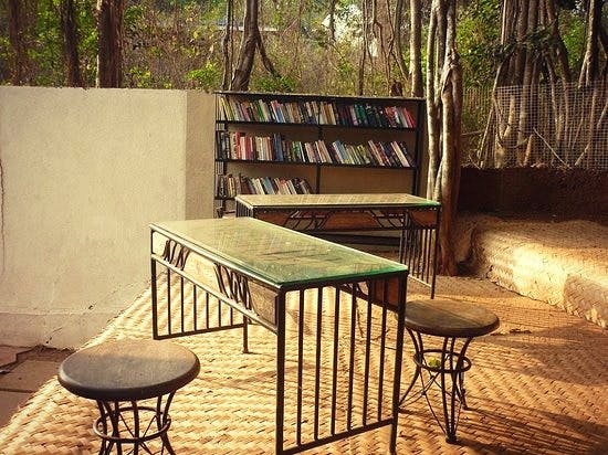 Furniture,Table,Outdoor table,Room,Tree,Chair,House,Outdoor furniture,Building,Interior design