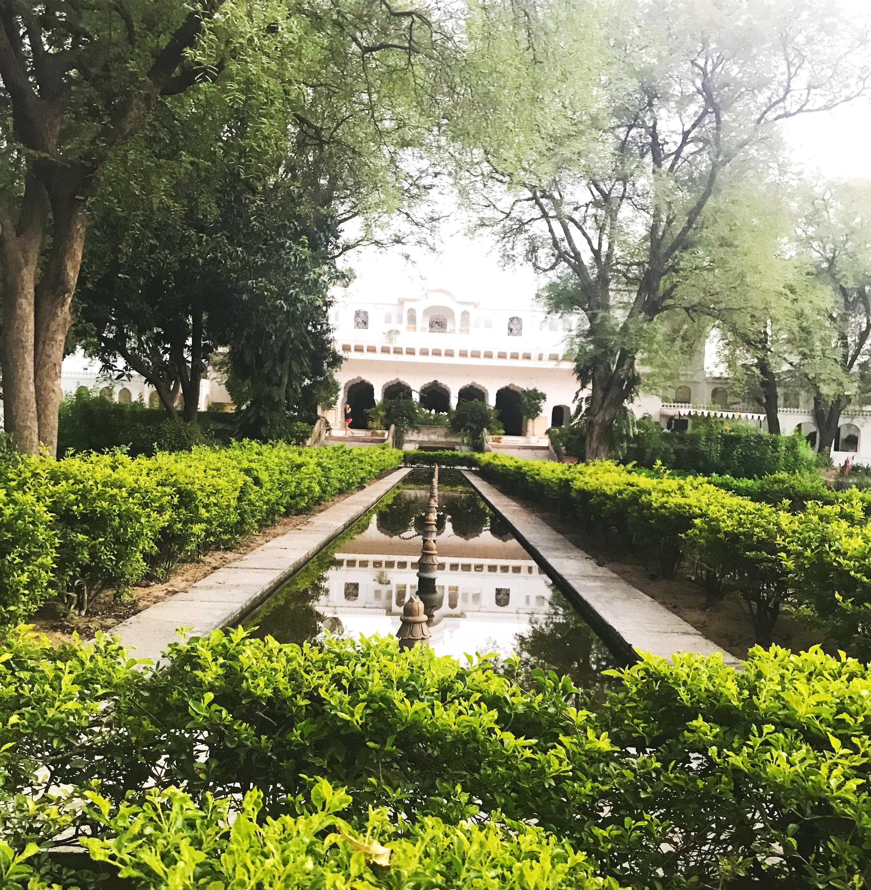 Garden,Sky,Tree,Botany,Architecture,Botanical garden,Wilderness,Iron,Spring,Building