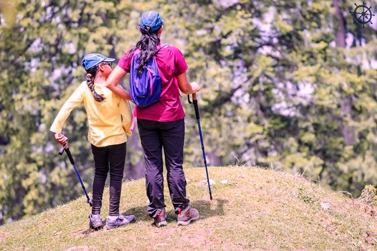 Hiking equipment,Nordic walking,Trekking pole,Outdoor recreation,Backpacking,Adventure,Recreation,Walking,Hiking,Tree