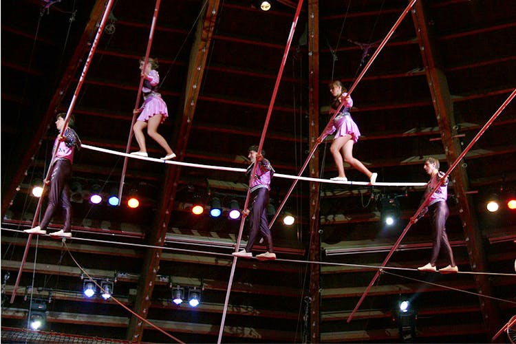 Performance,Entertainment,Circus,Performing arts,Acrobatics,Public event,Performance art,Static trapeze,Event,Aerialist