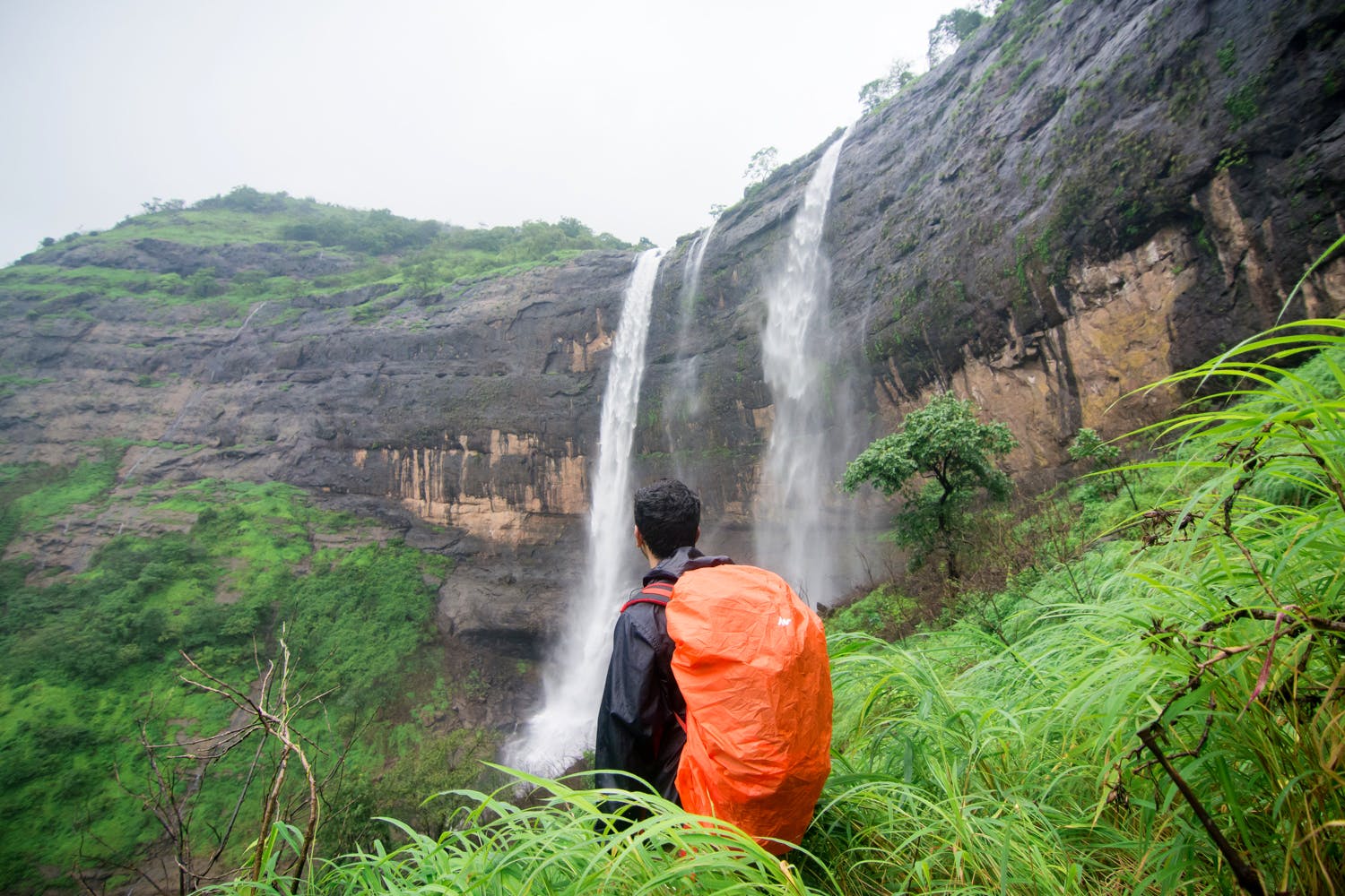 Waterfall,Nature,Vegetation,Water resources,Hill station,Water,Nature reserve,Natural landscape,Watercourse,Rainforest