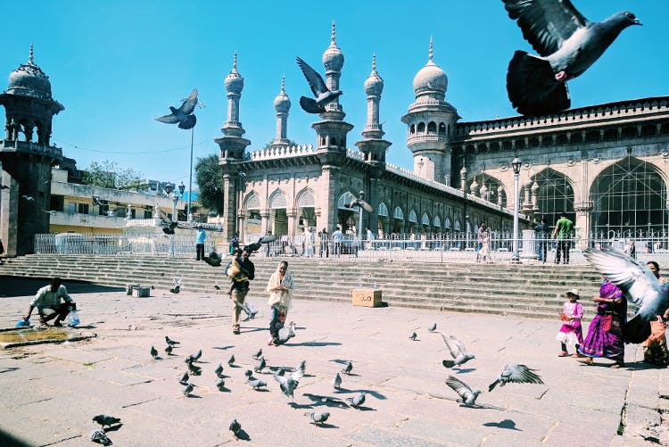 Pigeons and doves,Rock dove,Mosque,Landmark,Public space,City,Building,Tourism,Bird,Architecture