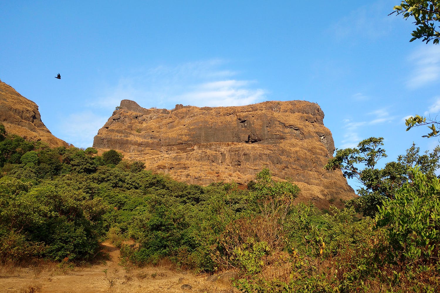 Vegetation,Rock,Formation,Badlands,Escarpment,Outcrop,Sky,Wilderness,Geology,Nature reserve